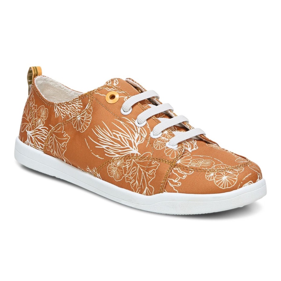 Estrella De Mar Naranja