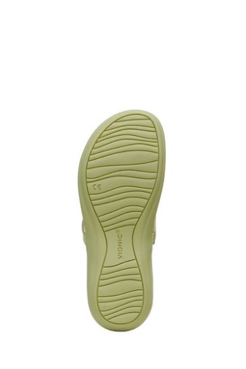Sandalias De Dedo Vionic Green Rayo