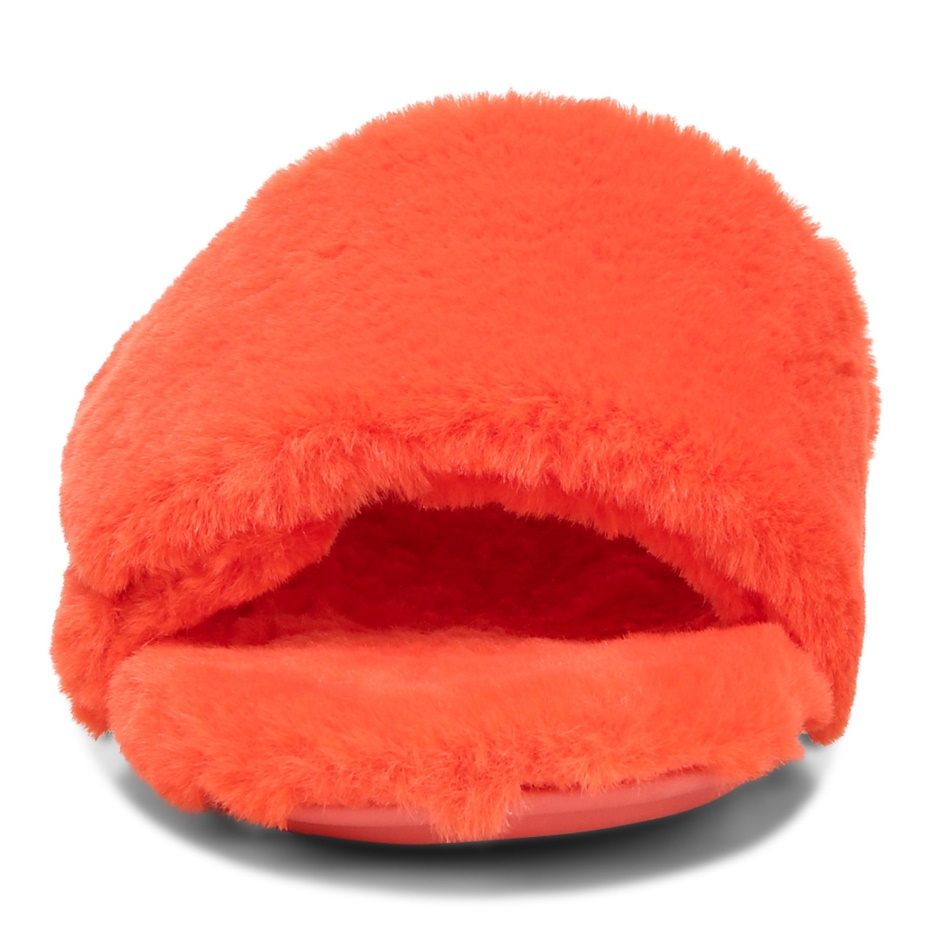 Sueño De Peluche Zapatilla Fiesta De Peluche De Juguete
